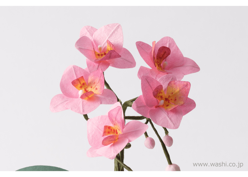 即日発送可】和紙の仏花 お供え花／ミニ胡蝶蘭 花器付き 全3色 | Washi