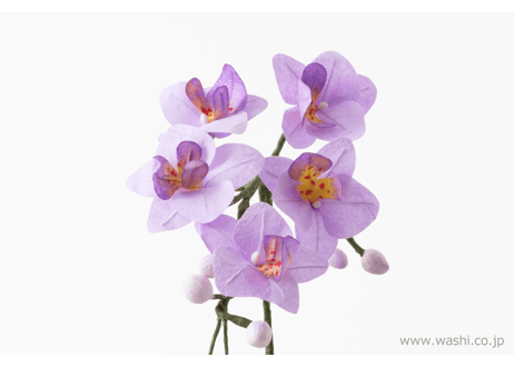 【即日発送可】和紙の仏花 お供え花／ミニ胡蝶蘭 花器付き 全3色