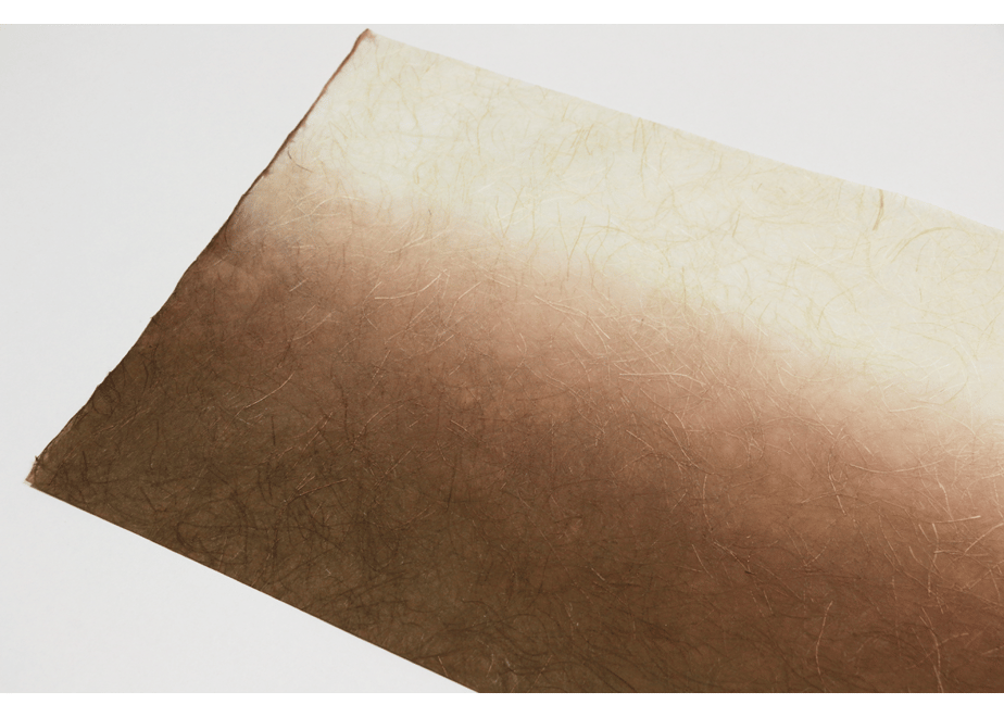65cdcf5f0decc701fd802249