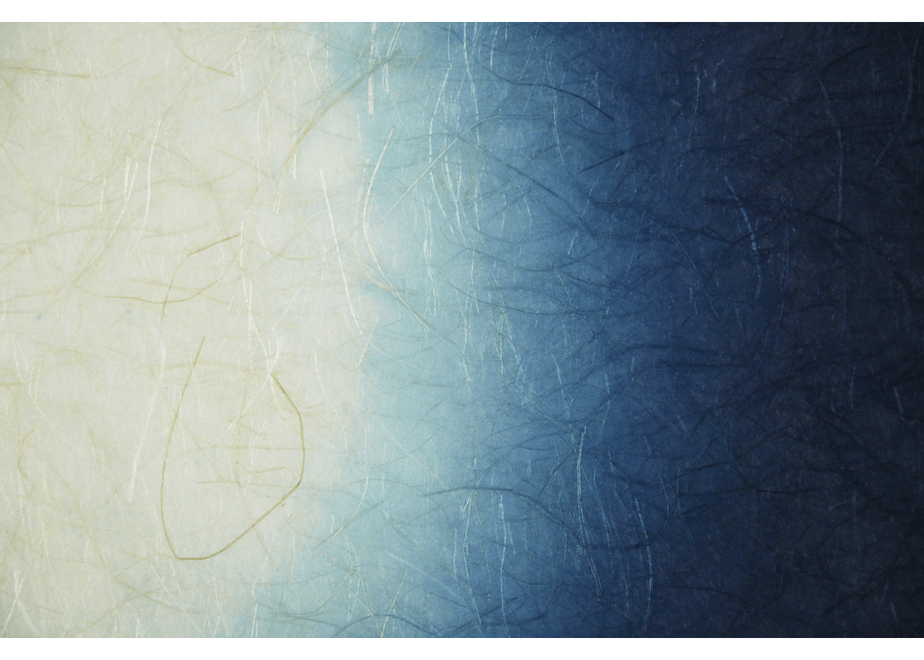 64dc61c2ad6dc1008b90a725
