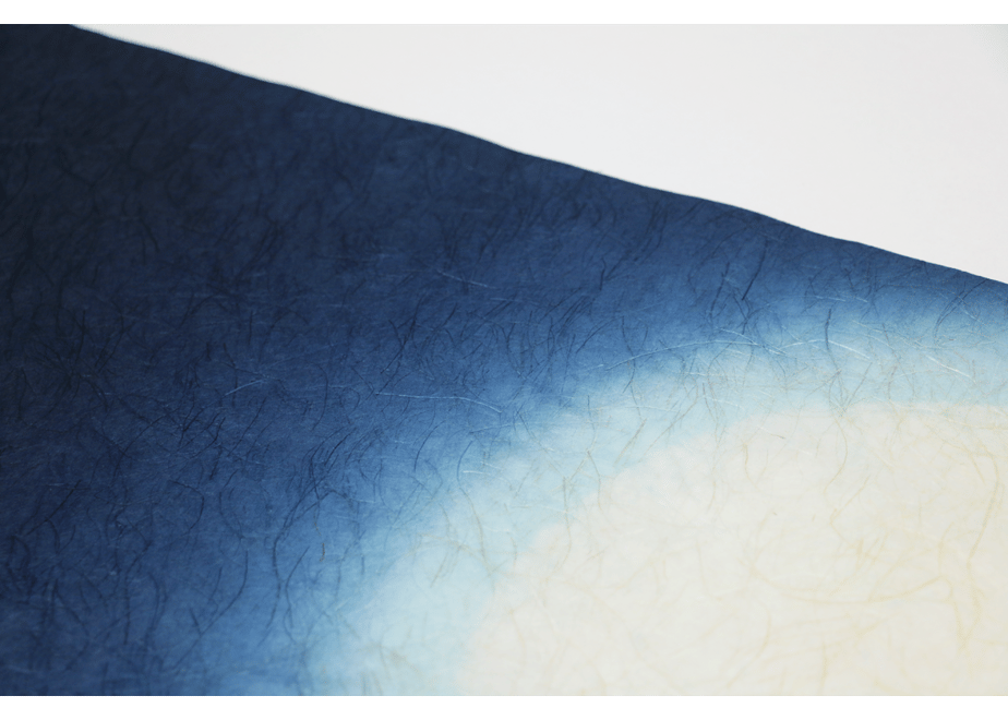 64dc61c2ad6dc1008b90a725