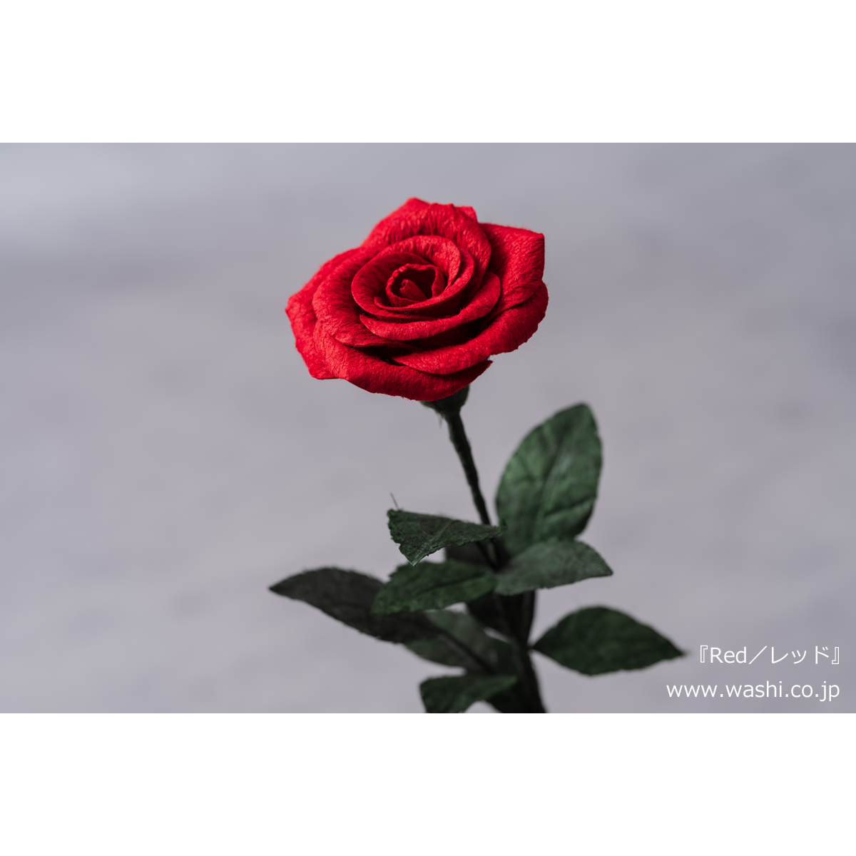 日本画　薔薇一輪 日本画 薔薇一輪 - メルカリ