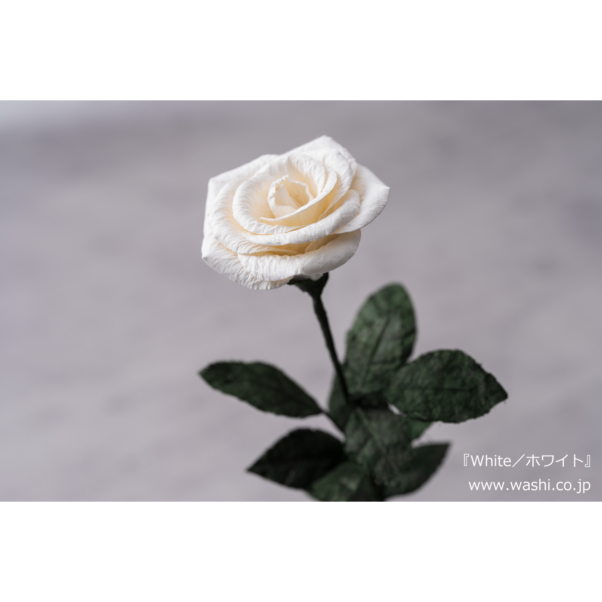 即日発送可】和紙の花／一輪のバラ 全5色 | Washi あさくら