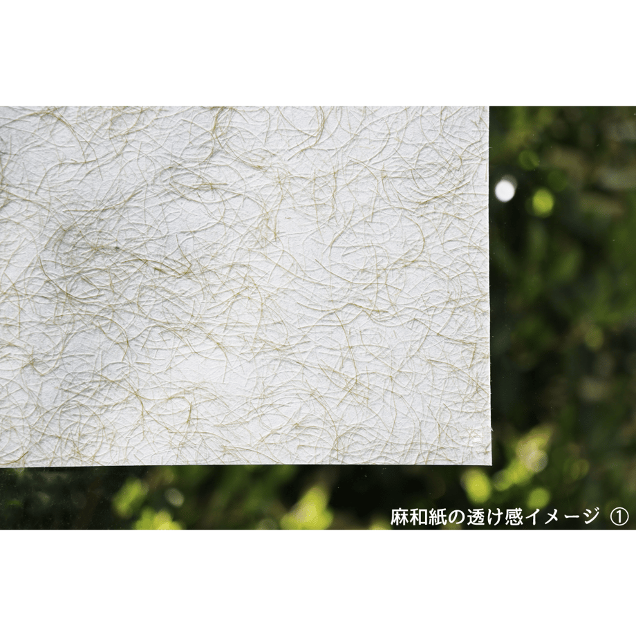 6540a212a932bf002f777dd4