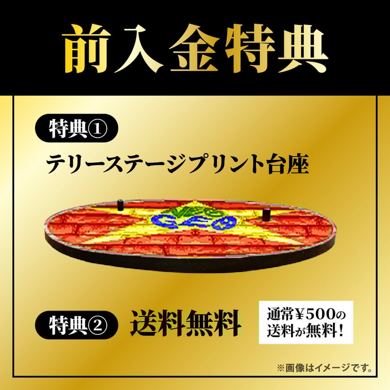 テリー・ボガード（HGダメージVer.） | STUDIO24 store