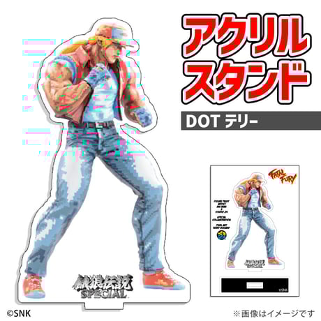 t*n様 THE KING OF COLLECTORS’24 SPECIALテリ THE KING OF COLLECTORS'24 EX「テリー・ボガード」（ダメージ