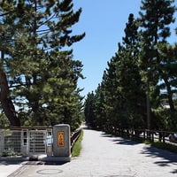 松原遊歩道２（写真データ）