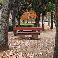 そうか公園秋冬4
