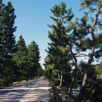 松原遊歩道４（写真データ）