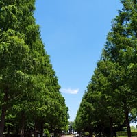 そうか公園春夏4