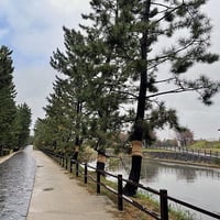 秋の松原遊歩道５（写真データ）