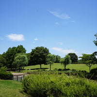 そうか公園春夏2