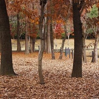 そうか公園秋冬6