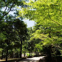 そうか公園春夏7