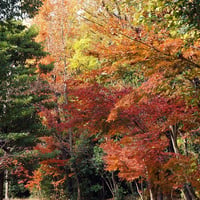 そうか公園秋冬3