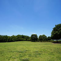 そうか公園春夏3