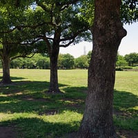 そうか公園春夏10