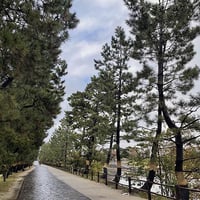秋の松原遊歩道３（写真データ）
