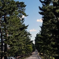 松原遊歩道５（写真データ）