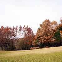 そうか公園秋冬2