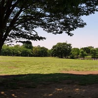 そうか公園春夏9