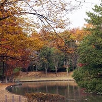 そうか公園秋冬5