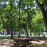 そうか公園春夏5