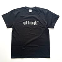 "got triangle?" Black Tee