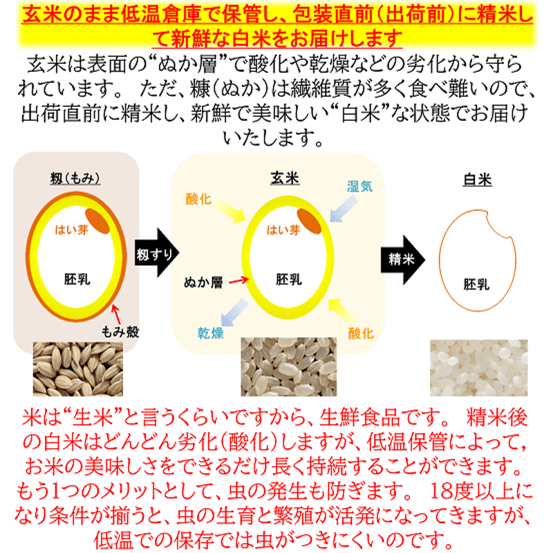 令和5年産新米 減農薬 新潟こしひかり玄米30kg 新潟県三条市旧しただ村 ...