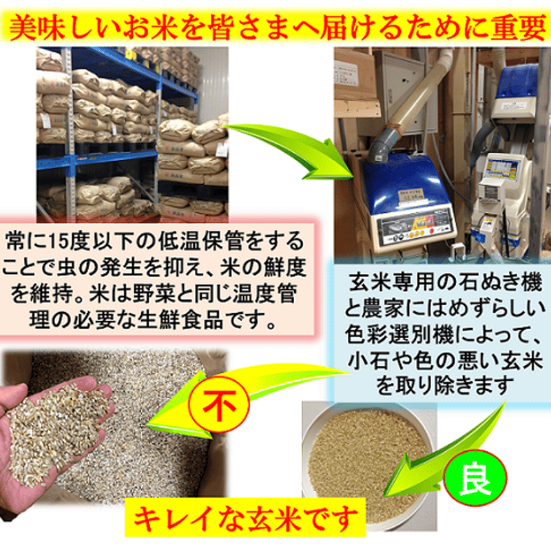 令和7年産 減農薬 ネオニコチノイド系農薬不使用 新潟こしひかり玄米