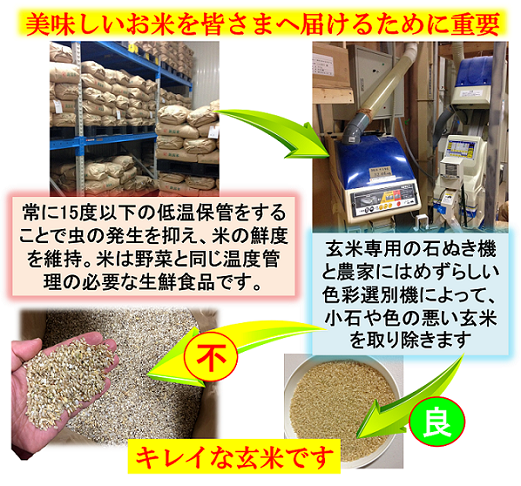 新米 令和8年産 減農薬 ネオニコチノイド系農薬不使用 新潟こしひかり
