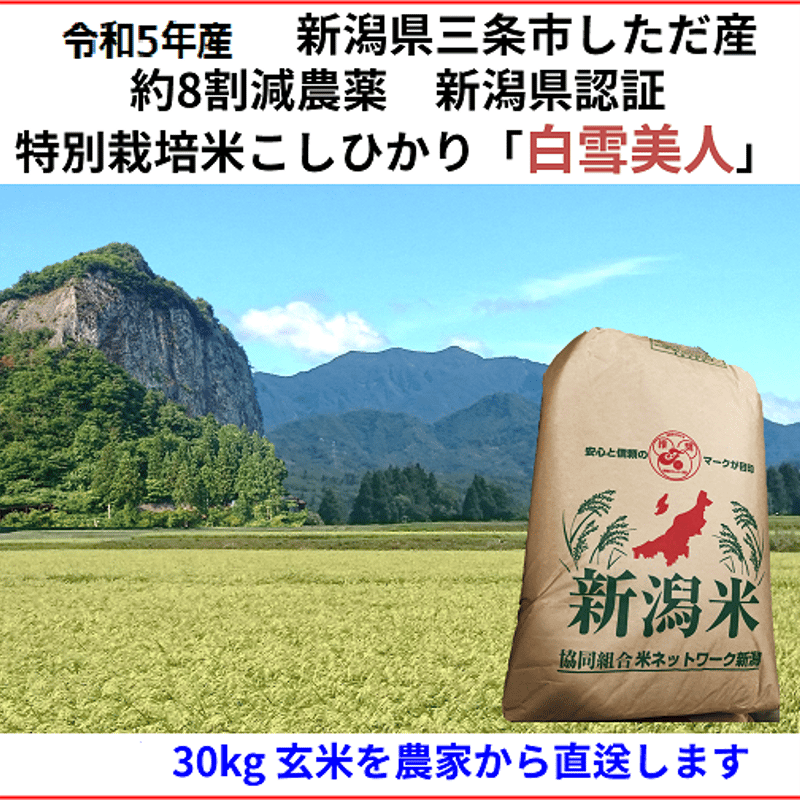 特別栽培米・令和5年産 玄米新潟コシヒカリ30kg（10k×3）精米無料農家