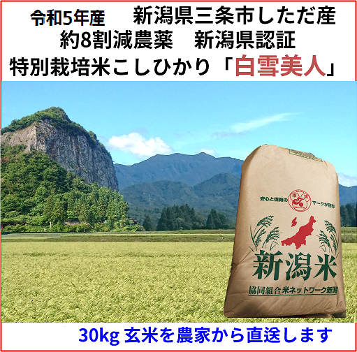 令和5年産】新米 農薬約9割減 新潟県認証 特別栽培米コシヒカリ 玄米