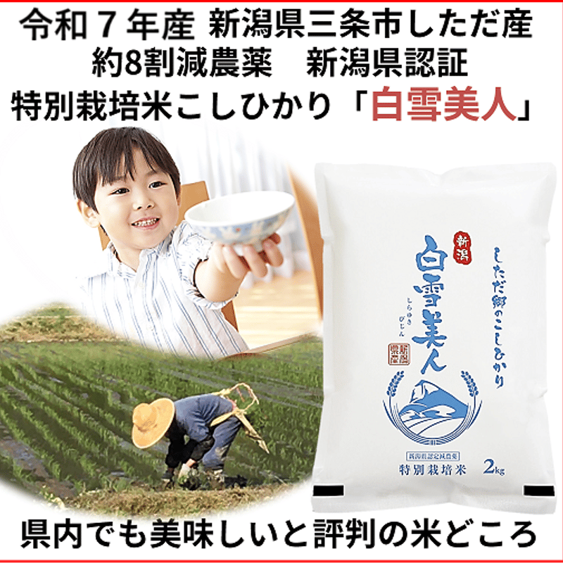 令和7年産　減農薬　新潟こしひかり白米20kg 新潟県三条市旧しただ村産　特栽米 令和7年産 減農薬 ネオニコチノイド系農薬不使用 新潟こしひかり白米