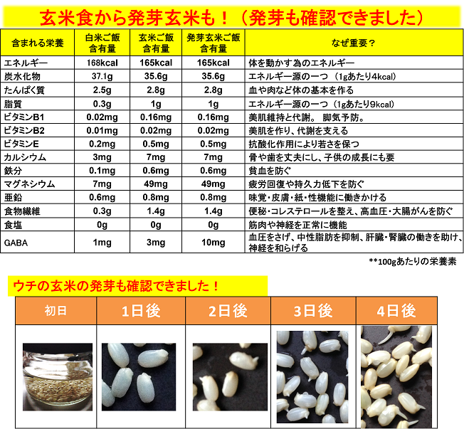 令和5年産 減農薬 新潟こしひかり玄米30kg 新潟県三条市旧しただ村産