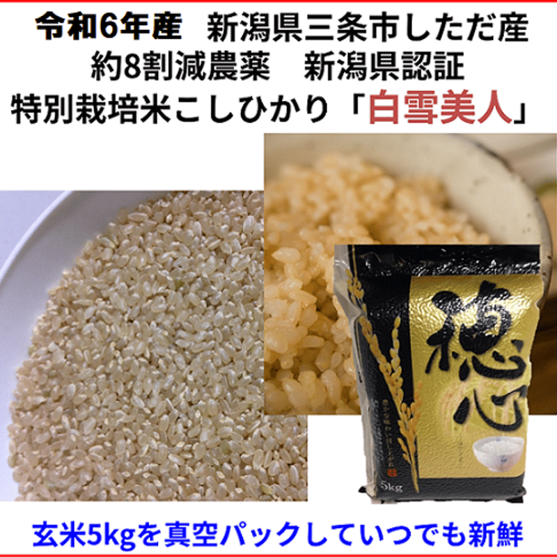 7】新潟県三条市産令和5年度産コシヒカリ玄米30kg 【公式通販】