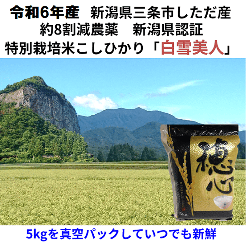 精米済み20キロ【農家直送！】新潟県産こしいぶき 特別栽培米 6年産