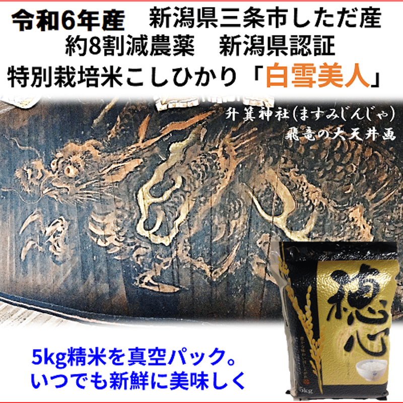 令和6年産新米 減農薬 新潟こしひかり玄米5kg真空パック 新潟県三条市旧しただ村産 新潟県認...