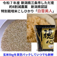 令和7年産　減農薬　新潟こしひかり玄米5kg(真空パック)　ネオニコチノイド系農薬不使用　新潟県三条市旧しただ村産　1等米 新潟県認証　特別栽培米100% 白雪美人　送料無料