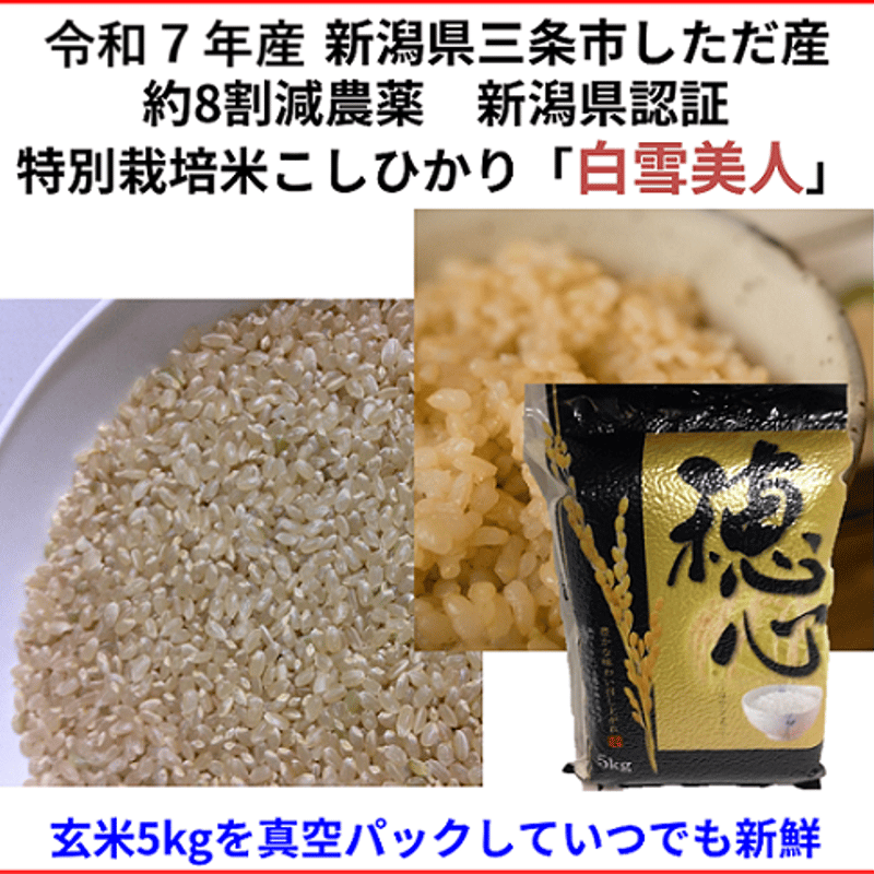 令和7年産 減農薬 新潟こしひかり玄米5kg(真空パック) ネオニコチ 令和7年産 減農薬 新潟こしひかり玄米5kg(真空パック) ネオニコチ