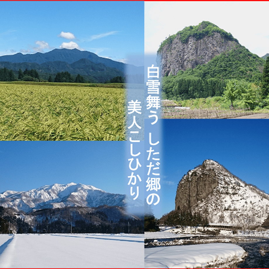 61c74453d26fa5069a0c155a