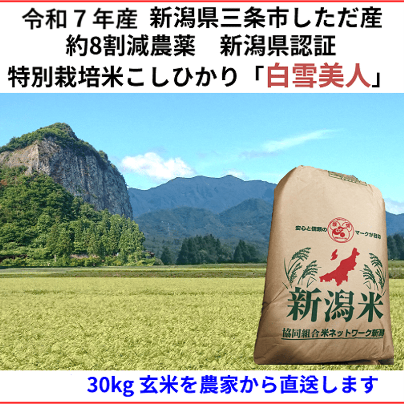 数量限定新米キャンペーン! 令和7年産新米 減農薬 新潟こしひかり玄米 数量限定新米キャンペーン! 令和7年産新米 減農薬 新潟こしひかり玄米