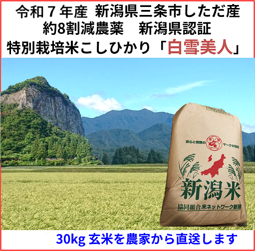 令和7年産 減農薬 ネオニコチノイド系農薬不使用 新潟こしひかり玄米