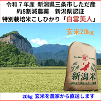 令和7年産新米 減農薬 新潟こしひかり玄米30kg 新潟県三条市旧