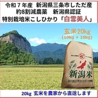 数量限定新米キャンペーン！ 令和7年産新米 減農薬 新潟こしひかり玄米
