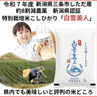 令和7年産　減農薬　ネオニコチノイド系農薬不使用　新潟こしひかり白米5kg 新潟県三条市旧しただ村産　1等米 新潟県認証　特別栽培米100% 　白雪美人　グルテンフリー　送料無料
