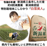 令和3年　新潟県三条市しただ産　減農薬特別栽培米コシヒカリ玄米20kg 白雪美人 令和3年 新潟県三条市しただ産 減農薬特別栽培米