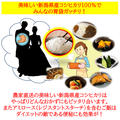 令和7年産　ネオニコチノイド系農薬不使用　新潟県産ミルキークイーン白米5kg 新潟県三条市旧しただ村産　1等米 冷めても美味しいミルキークイーン100%  輝一米　グルテンフリー　送料無料
