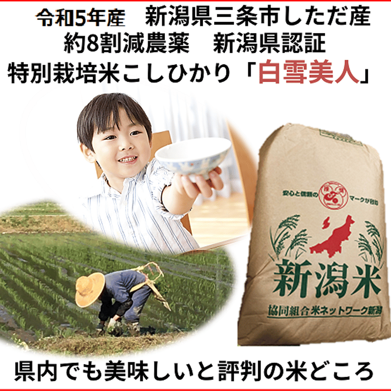 特別栽培米コシヒカリ　令和5年産】新米　白米紙袋25kg-　農薬約9割減　新潟県認証