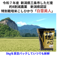 令和7年産　減農薬　ネオニコチノイド系農薬不使用　新潟こしひかり白米真空パック10kg　新潟県三条市旧しただ村産　1等米新潟県認証　特別栽培米100% 白雪美人